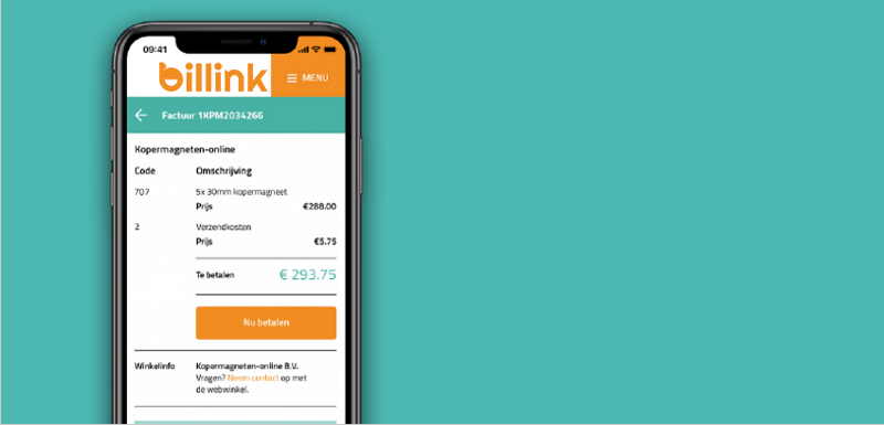 Free Buckaroo Account - Accept Billink within your Webshop