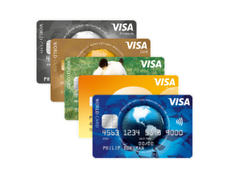 Free Buckaroo Account -Visa acceptance within your Webshop