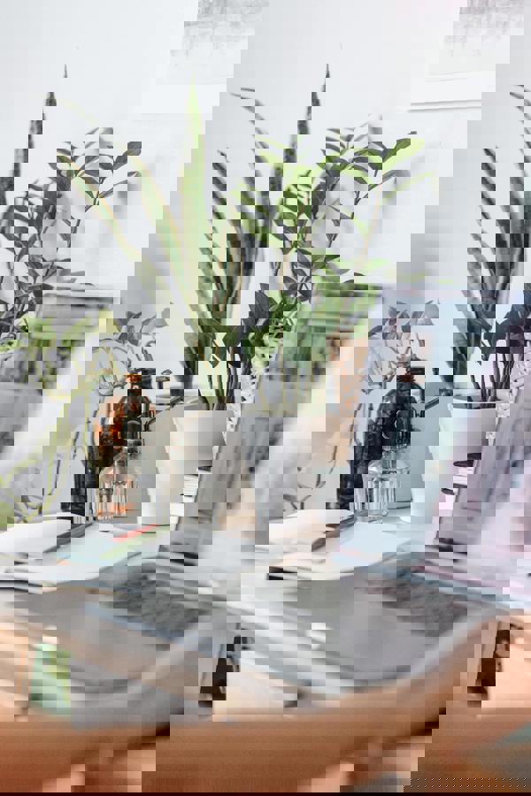 Omnichannel solution: all possible online and in-store payments at Buckaroo