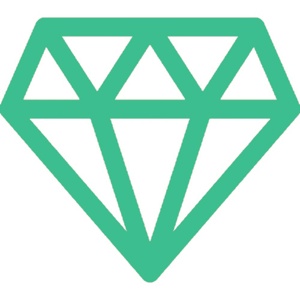 IBAN Oplossing - Premium versie - Meer mogelijkheden